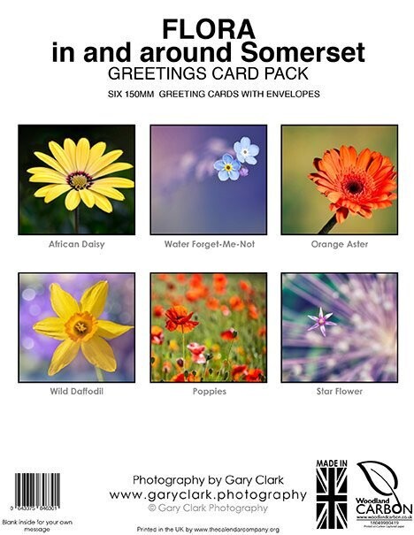 FLORA in and around Somerset Range - GREETINGS CARD PACK of 
SIX 150mm x 150mm GREETING CARDS WITH ENVELOPES (FREE UK DELIVERY)