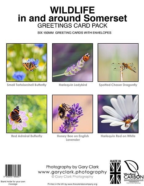WILDLIFE in and around Somerset Range - GREETINGS CARD PACK of 
SIX 150mm x 150mm GREETING CARDS WITH ENVELOPES (FREE UK DELIVERY)