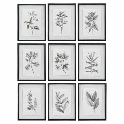 FARMHOUSE FLORALS FRAMED PRINTS, S/9