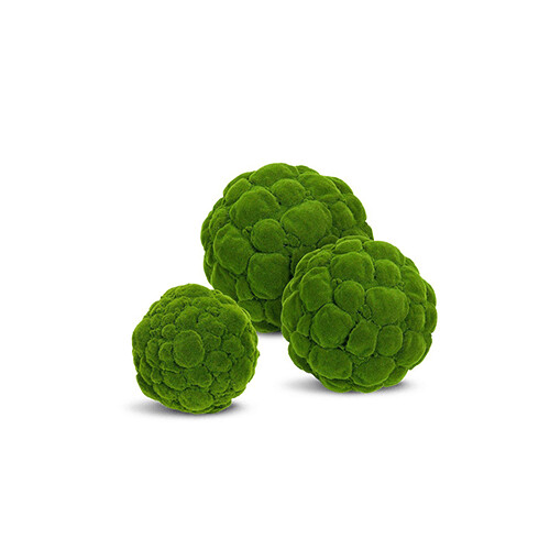 Moss Ball