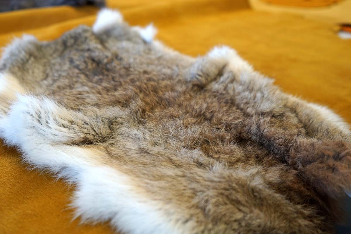 Rabbit Pelt, Type: Light