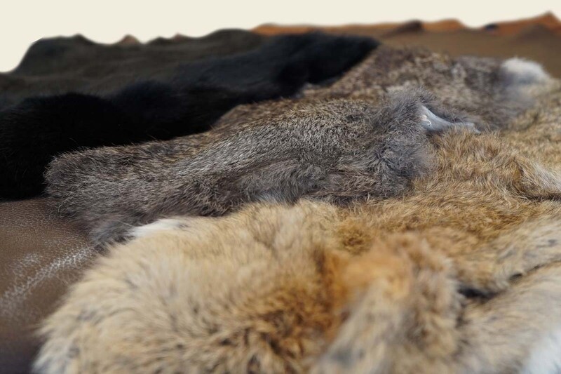 Rabbit Pelt