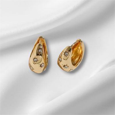 Water Drop Star Sparkle Earrings