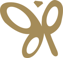 Papillon Jewelry