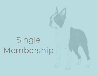 Club Membership - Single Club Membership - Single