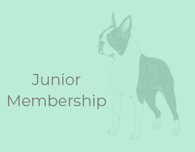 Club Membership - Junior Club Membership - Junior