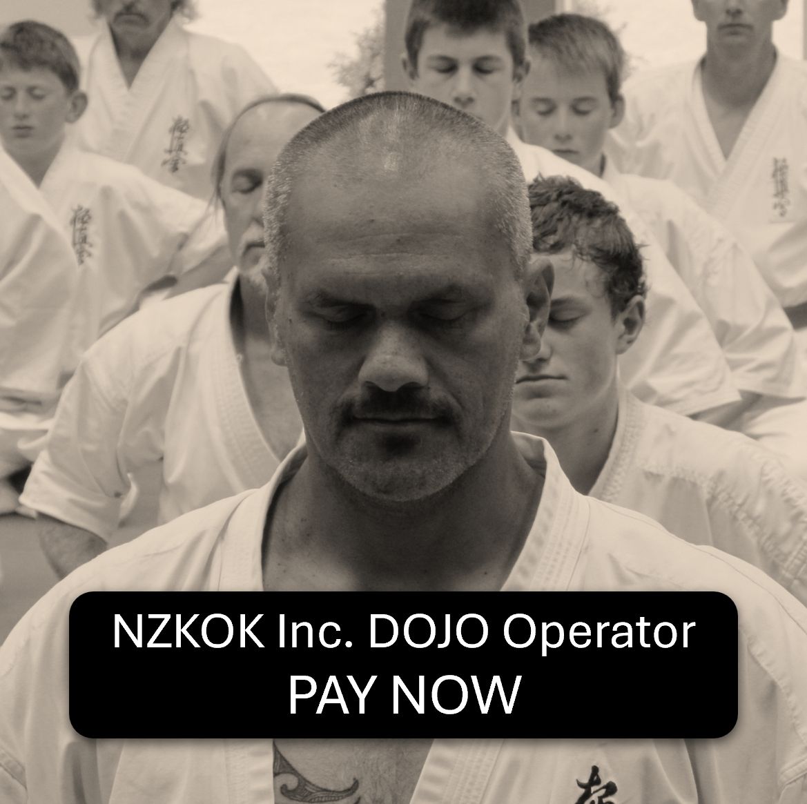 NZKOK Inc. Dojo Operator