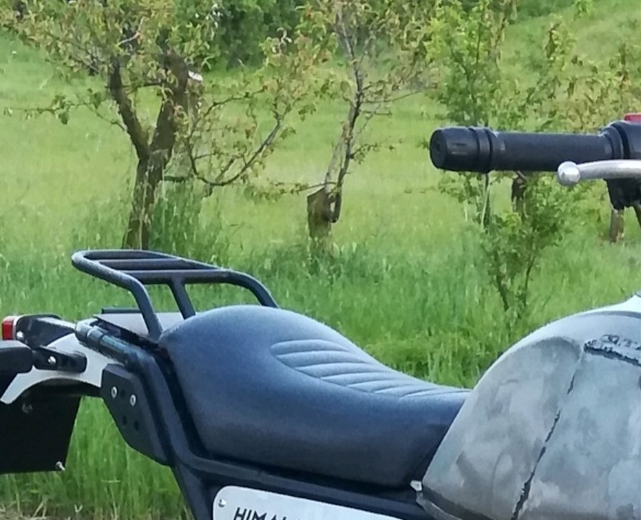 Sella monoposto
