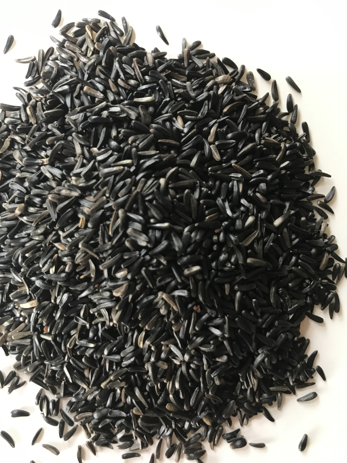 25kg Niger Seed