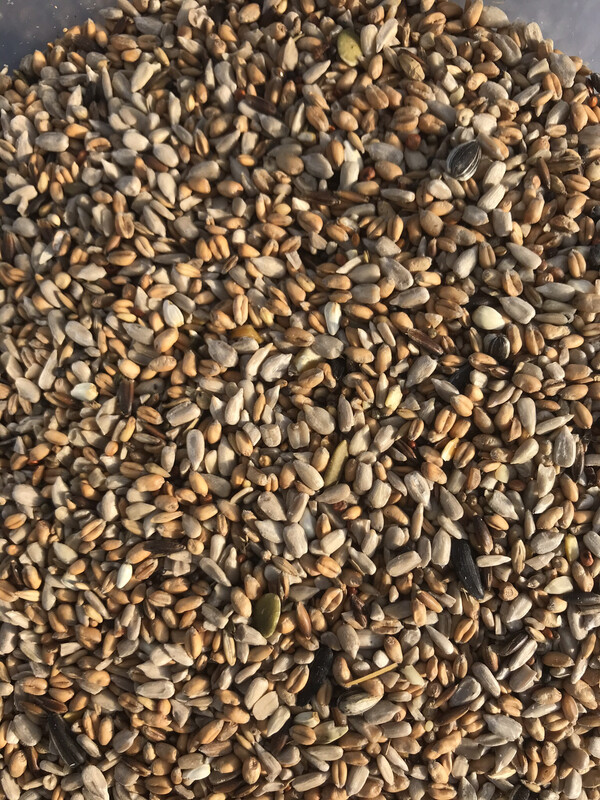 Sunflower Rich Birdseed Mix. 30kg