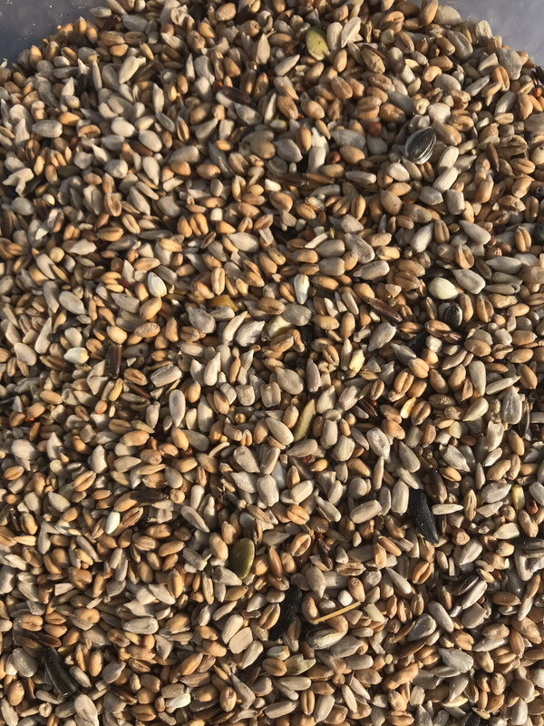 25kg Sunflower Rich Bird Seed