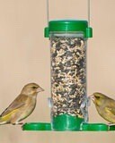 Get Set Go Seed Feeder Green