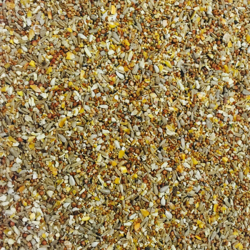 15Kg Bucktons No Wheat No Mess Wild Bird Seed