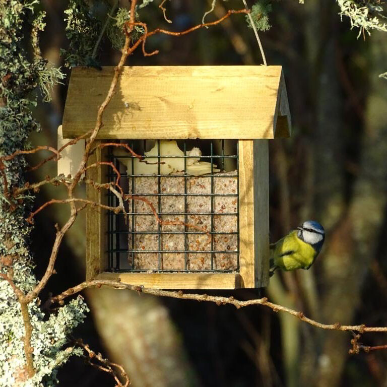 Handmade Suet Block Feeder
