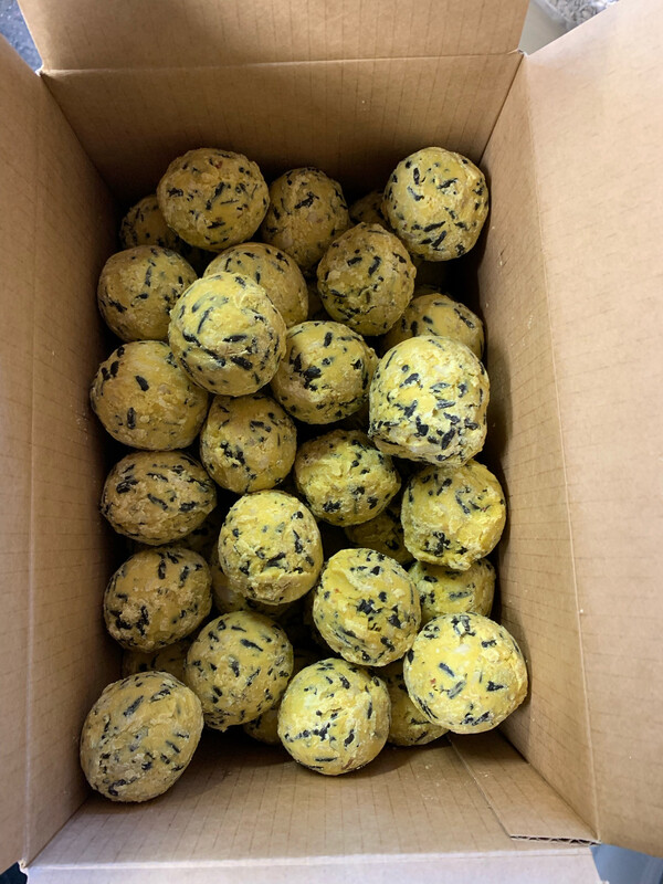 Peckish Fat Balls