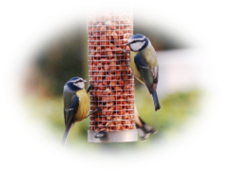 Newbawn Wild Bird Feed Store
