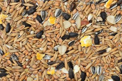 15kg Wild Bird Seed