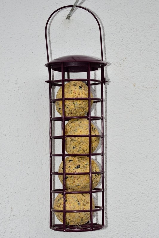Standard fatball feeder