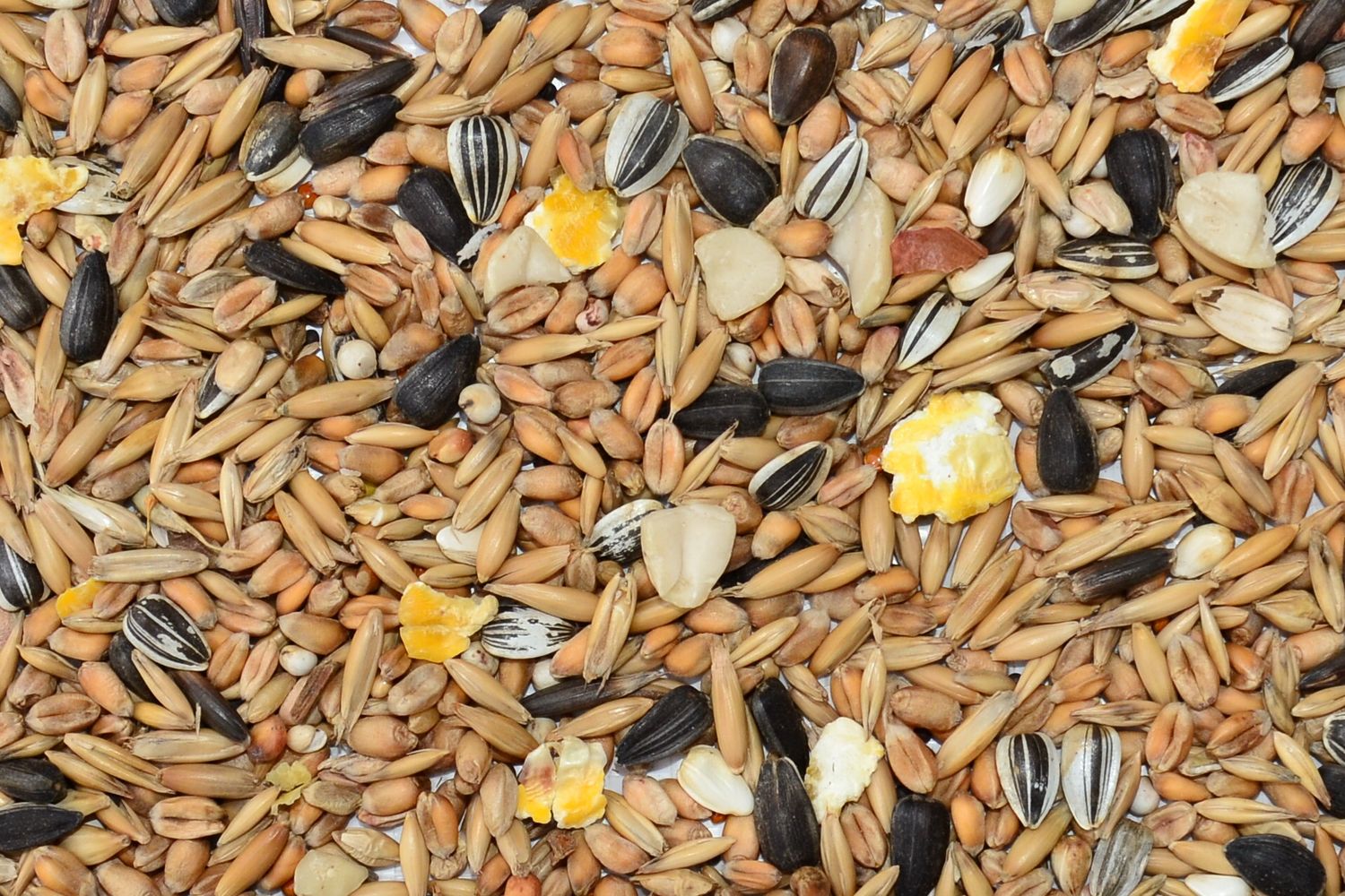 12.5kg Wild Bird Seed