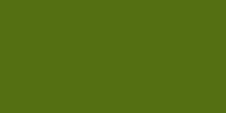 22.  Verde Oliva