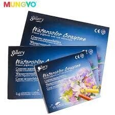 Ceras acuarelables mungyo 24u.
