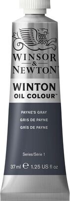 Óleo winson and newton 40ml #465 Gris Payne