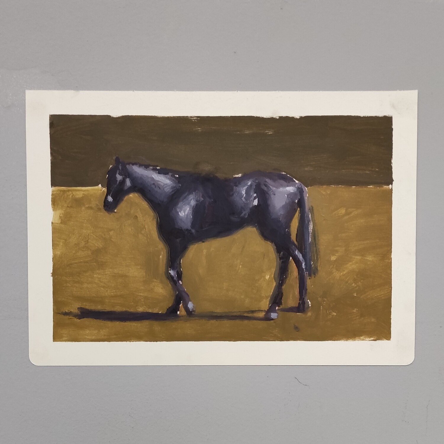 Horse, color study