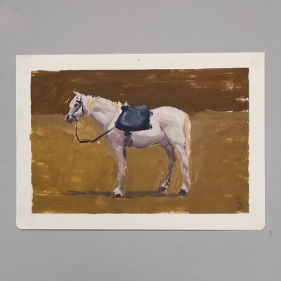 Horse, color study