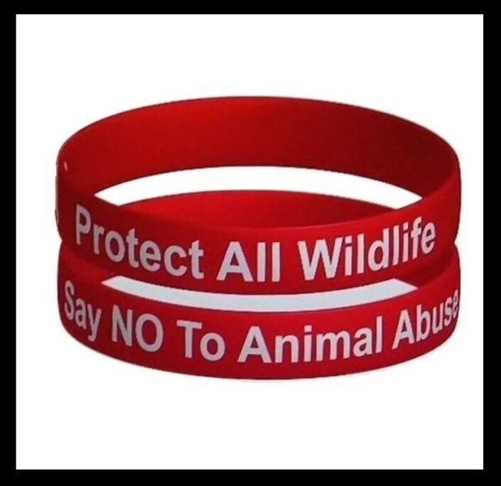 PROTECT ALL WILDLIFE - SAY NO TO ANIMAL ABUSE' WRISTBAND