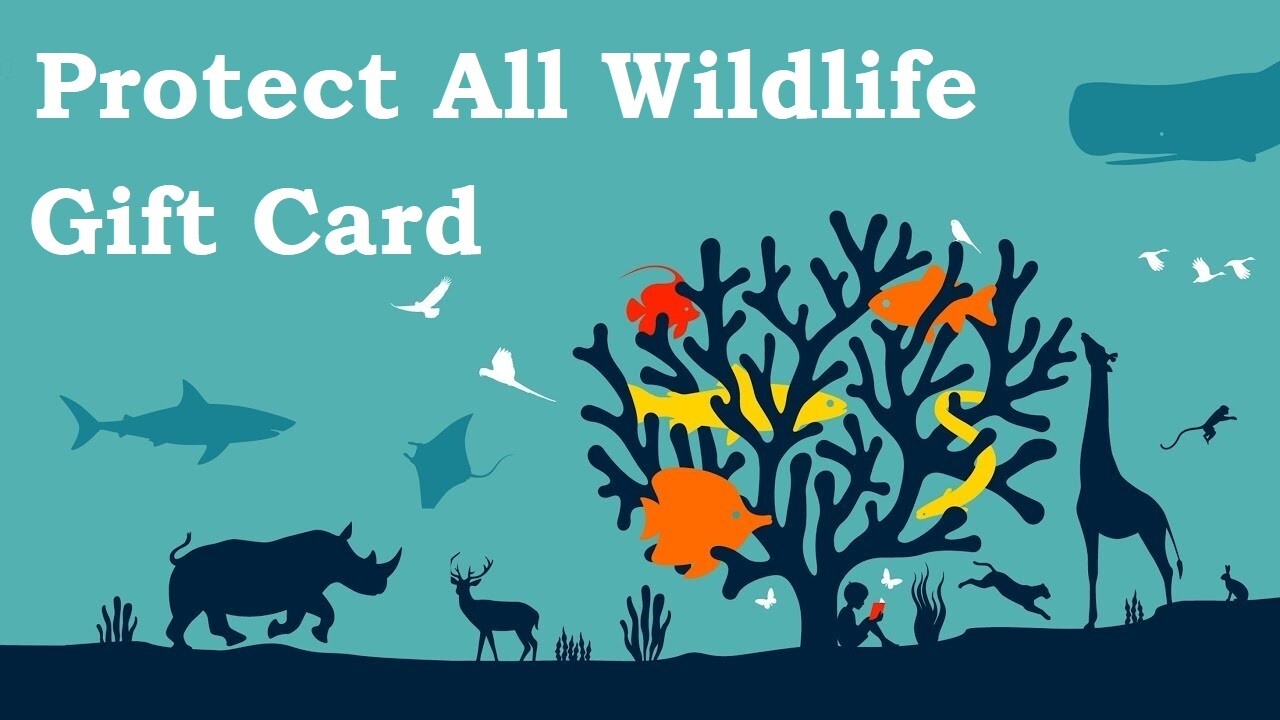 PROTECT ALL WILDLIFE GIFT CARD