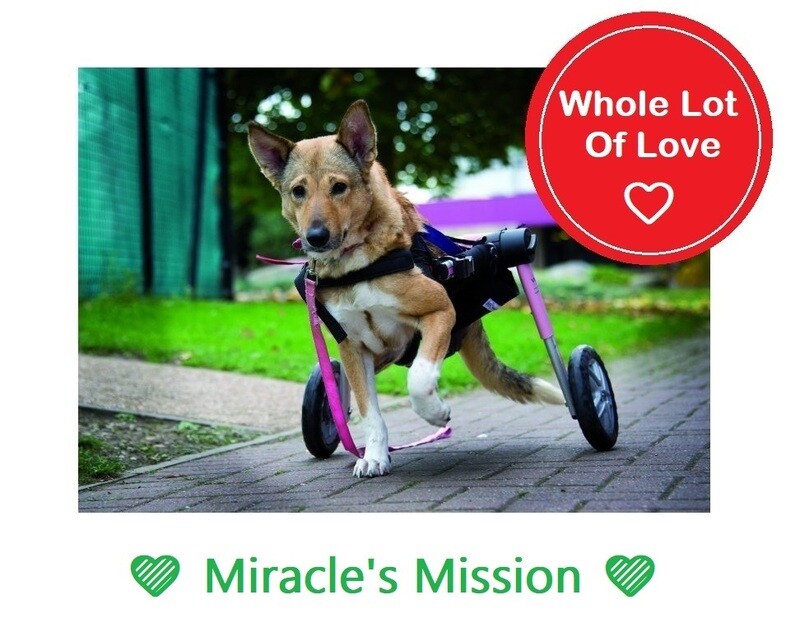WHOLE LOT OF LOVE GIFT FOR RESCUES