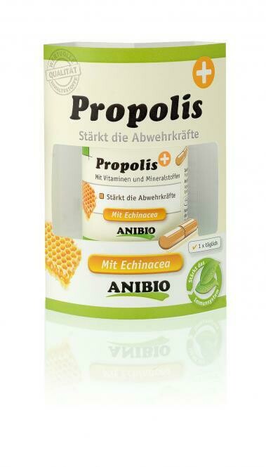 Propolis Kapseln