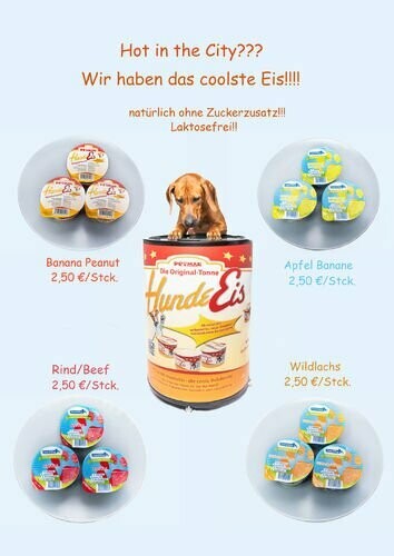 5x 90ml Hundeeis in 5 Sorten