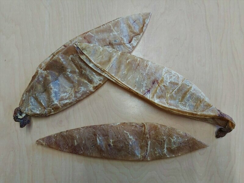 1 Stück Kälberblase, ganz 1 Stück Kälberblase, ganz