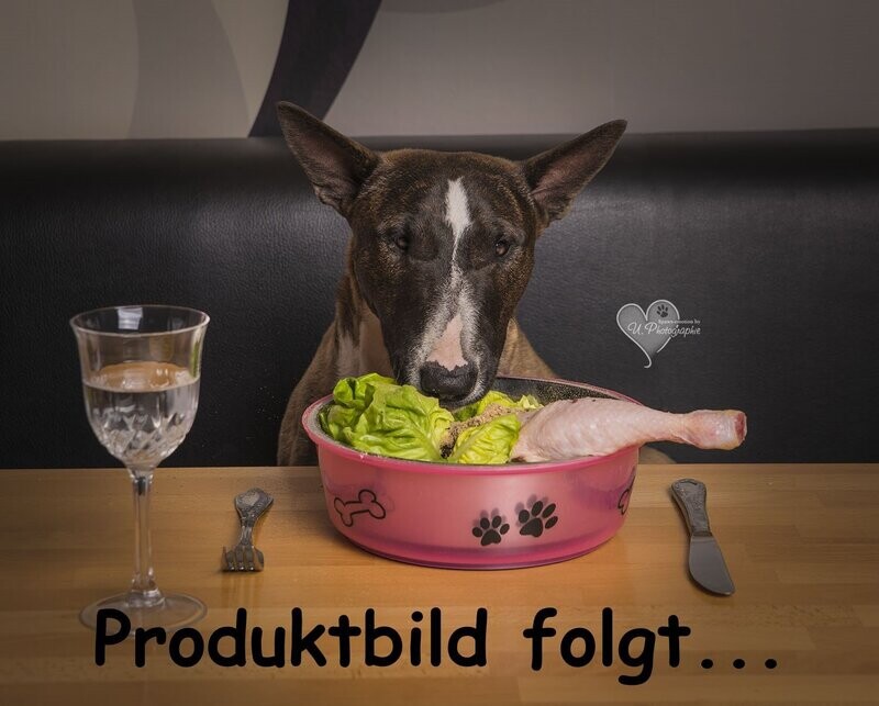 1 Stück Dog Donut