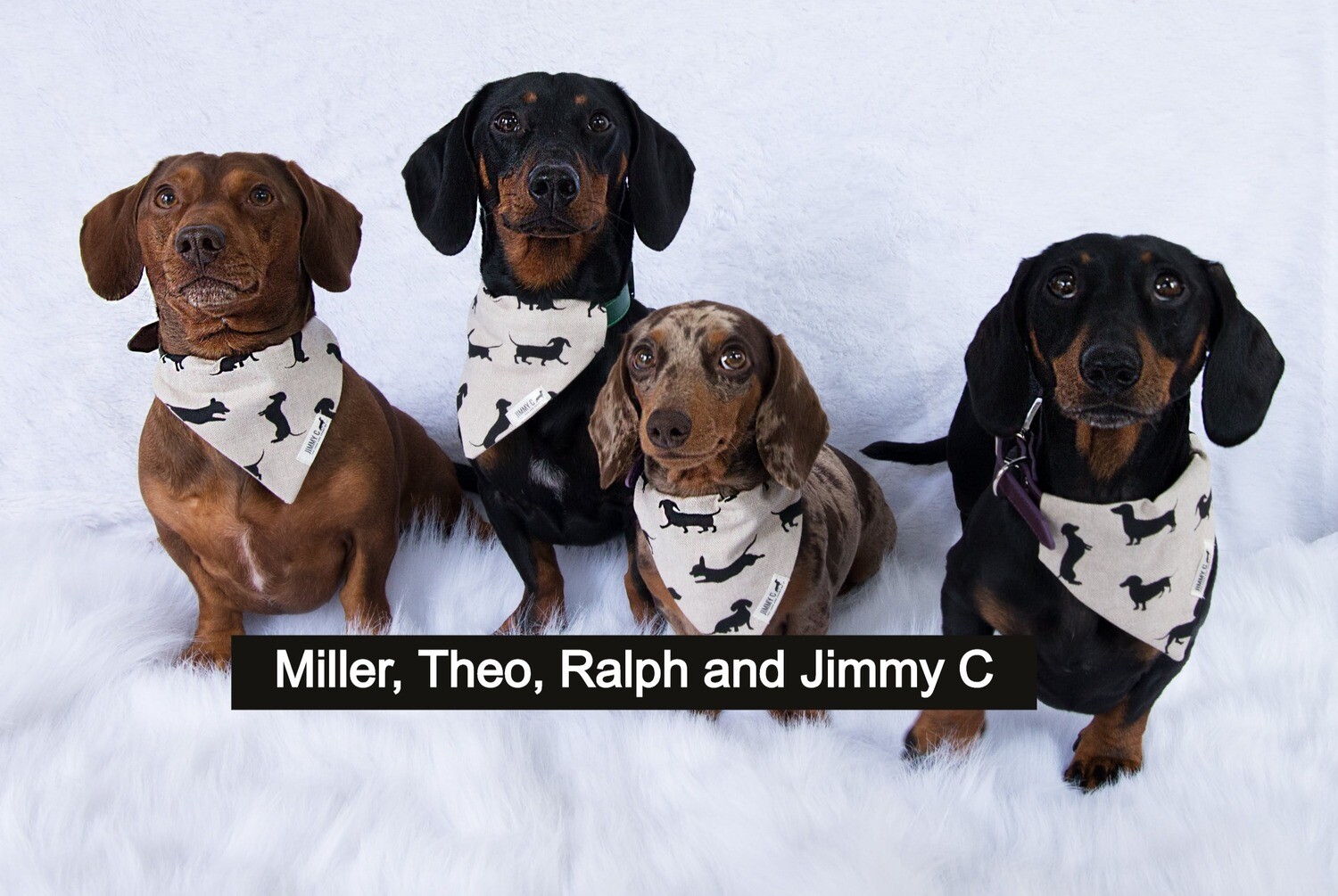 Dachshund Print Neckerchief