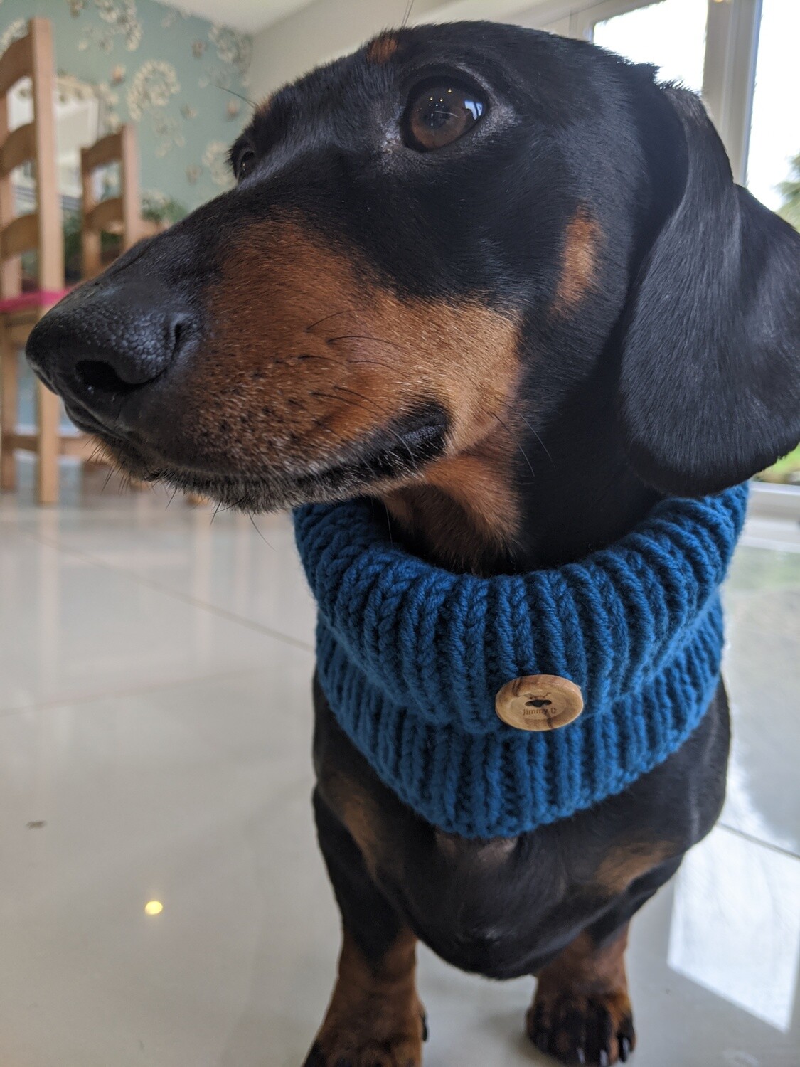 Cable knit Dachshund Snood (Teal)