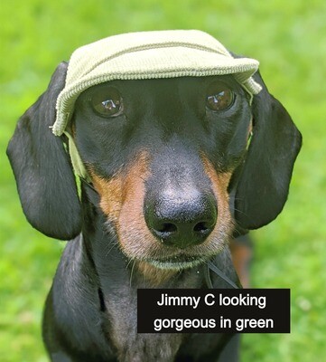Corduroy Dachshund Hat (Green)