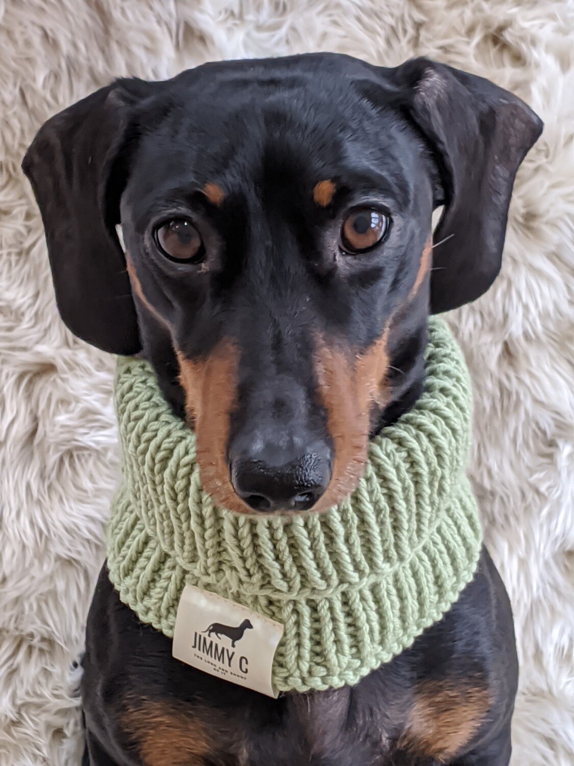 Cable knit Dachshund Snood (Apple Green)