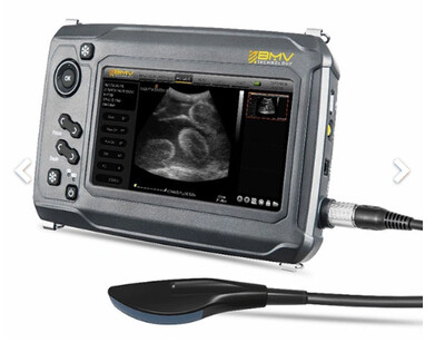S6 Touch Equine/ Bovine Ultrasound