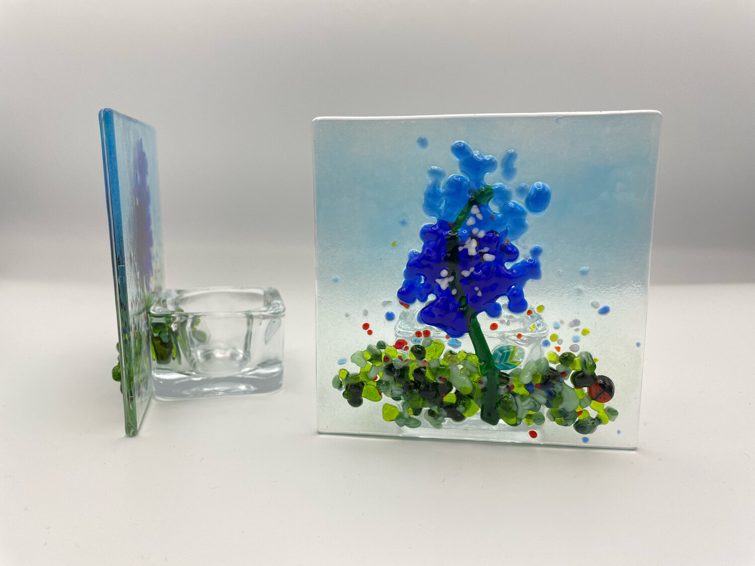 WORKSHOP: Bluebonnets -- Choose Your Project!