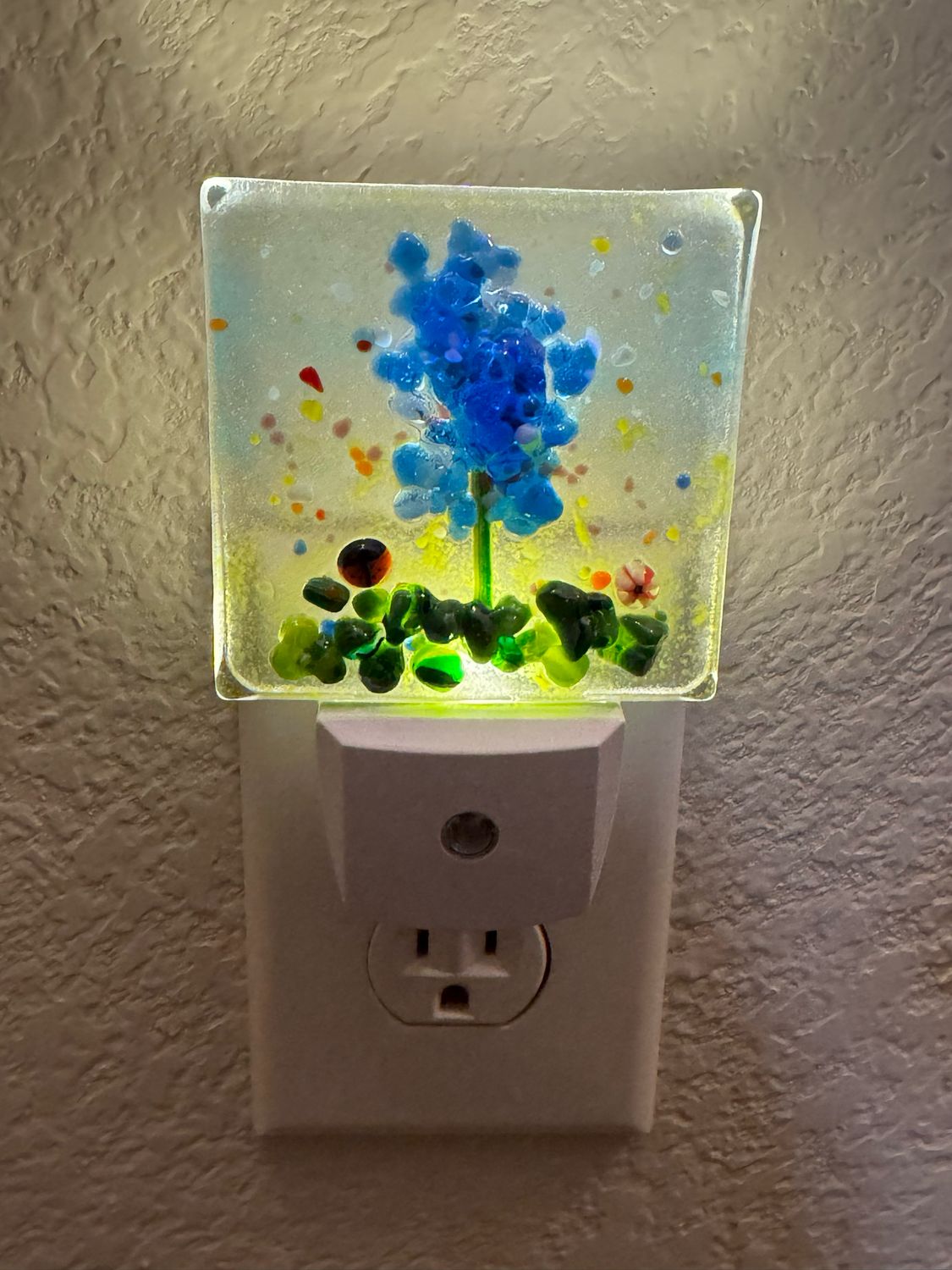 Bluebonnet LED Night Light