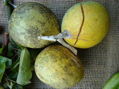 বেল