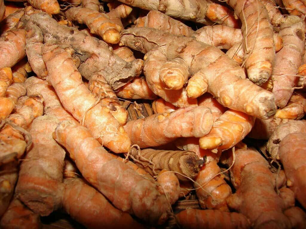 হলুদের গুড়া