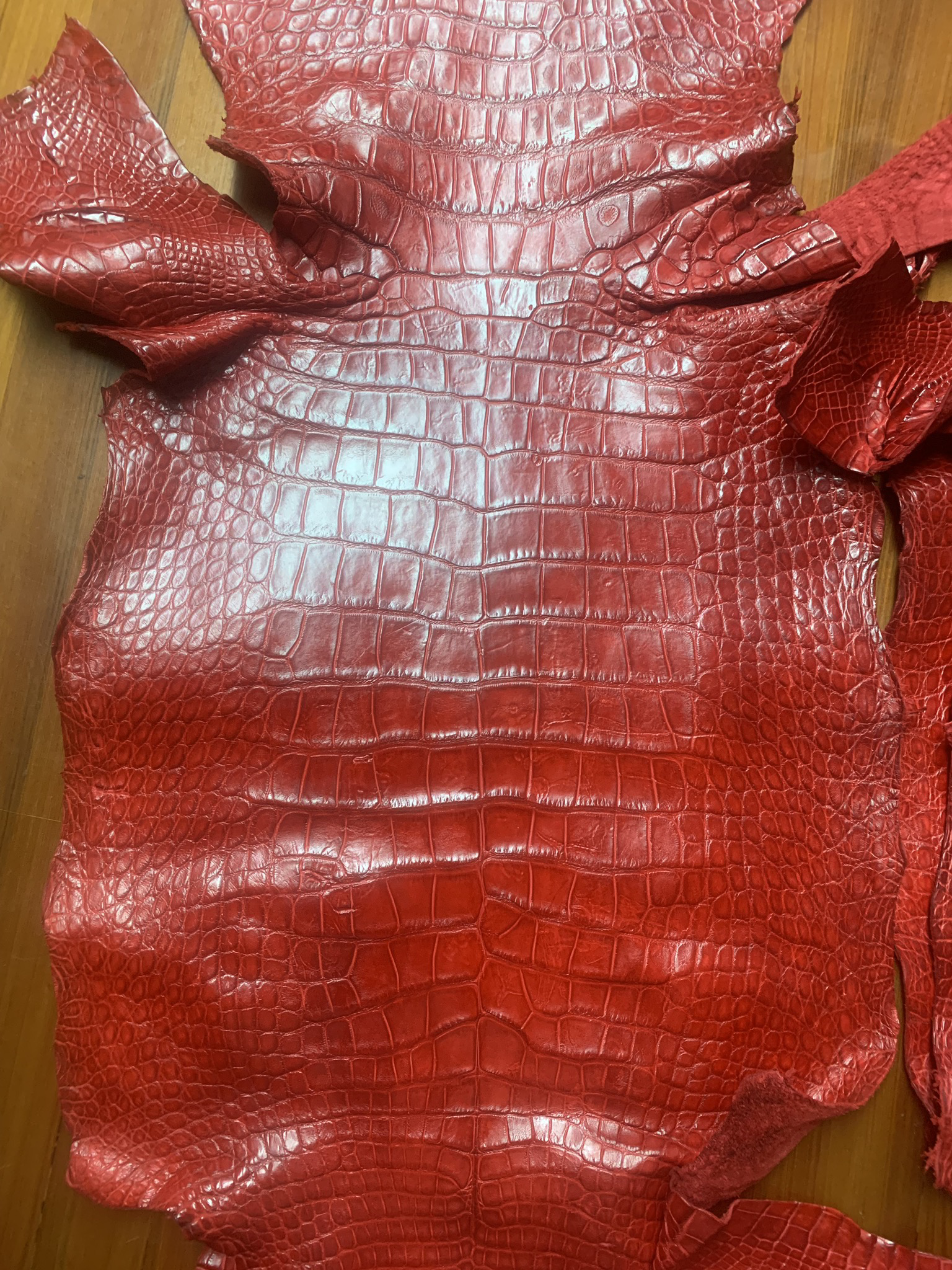 Alligator Skin Belly Matte Red 30/34 cm