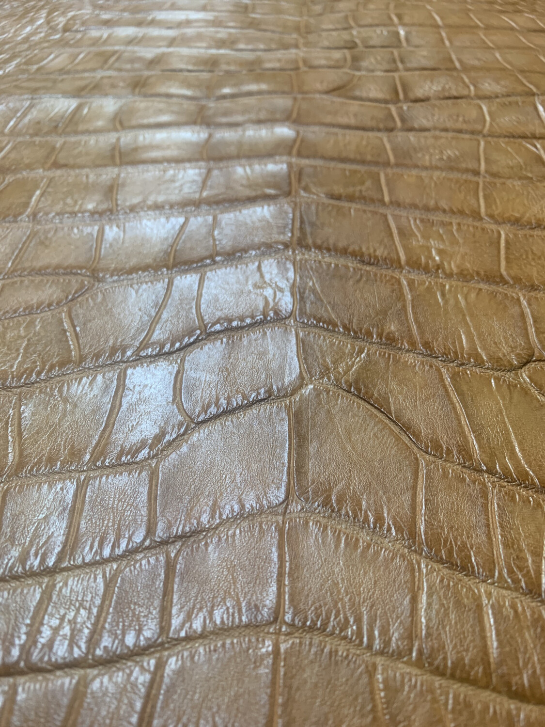Peanut Belly Skin 
