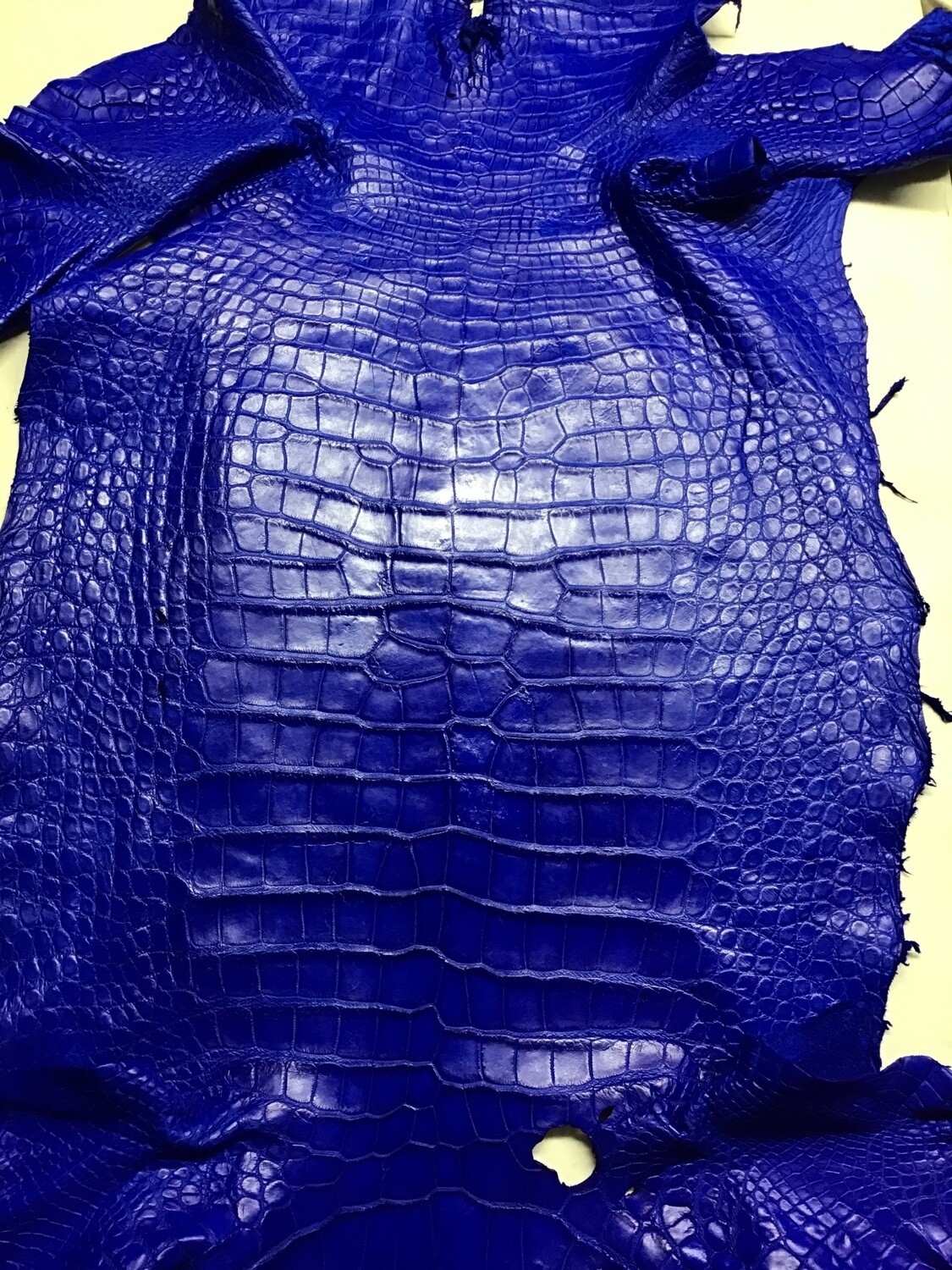Royal Blue Belly Skin