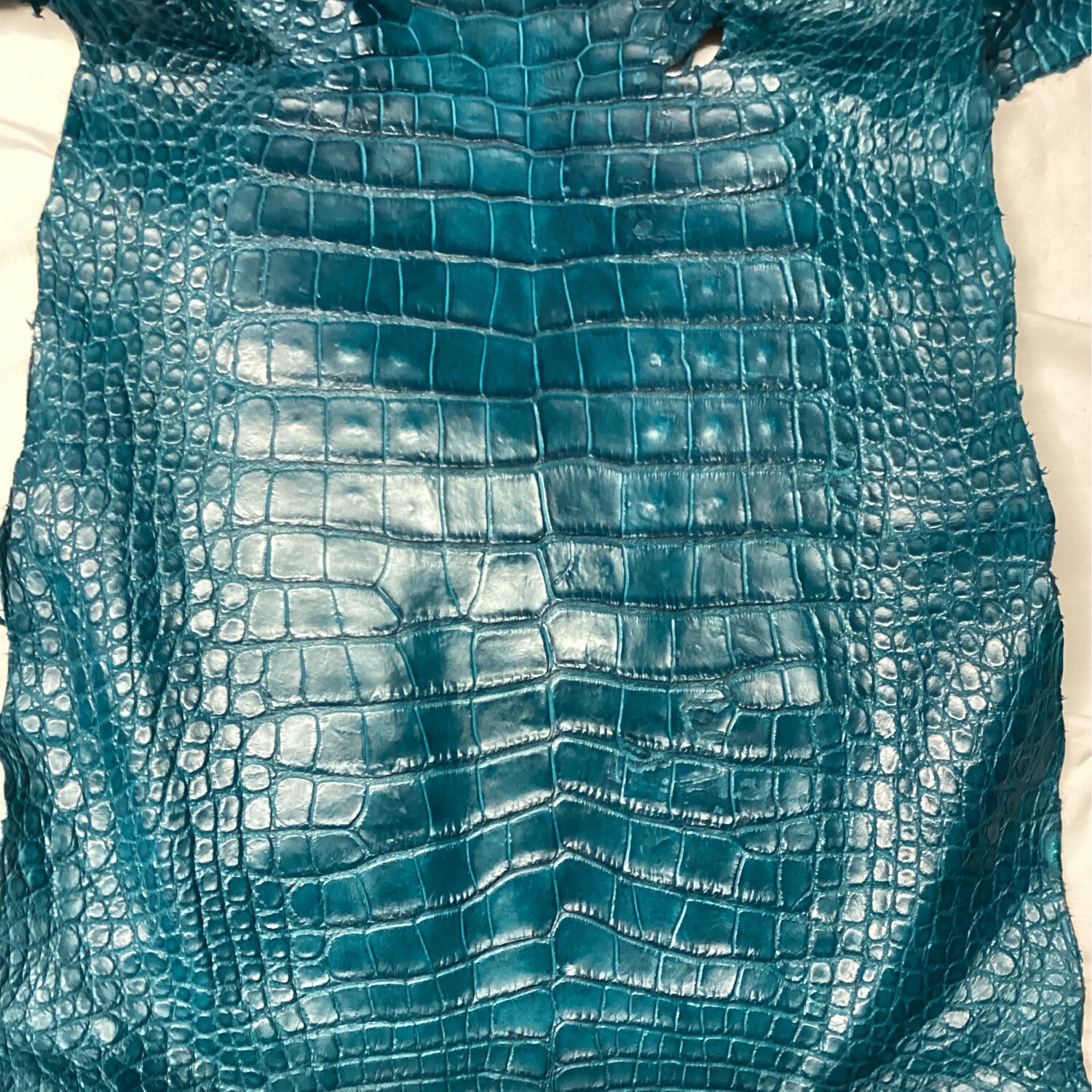 Turquoise Belly Skin