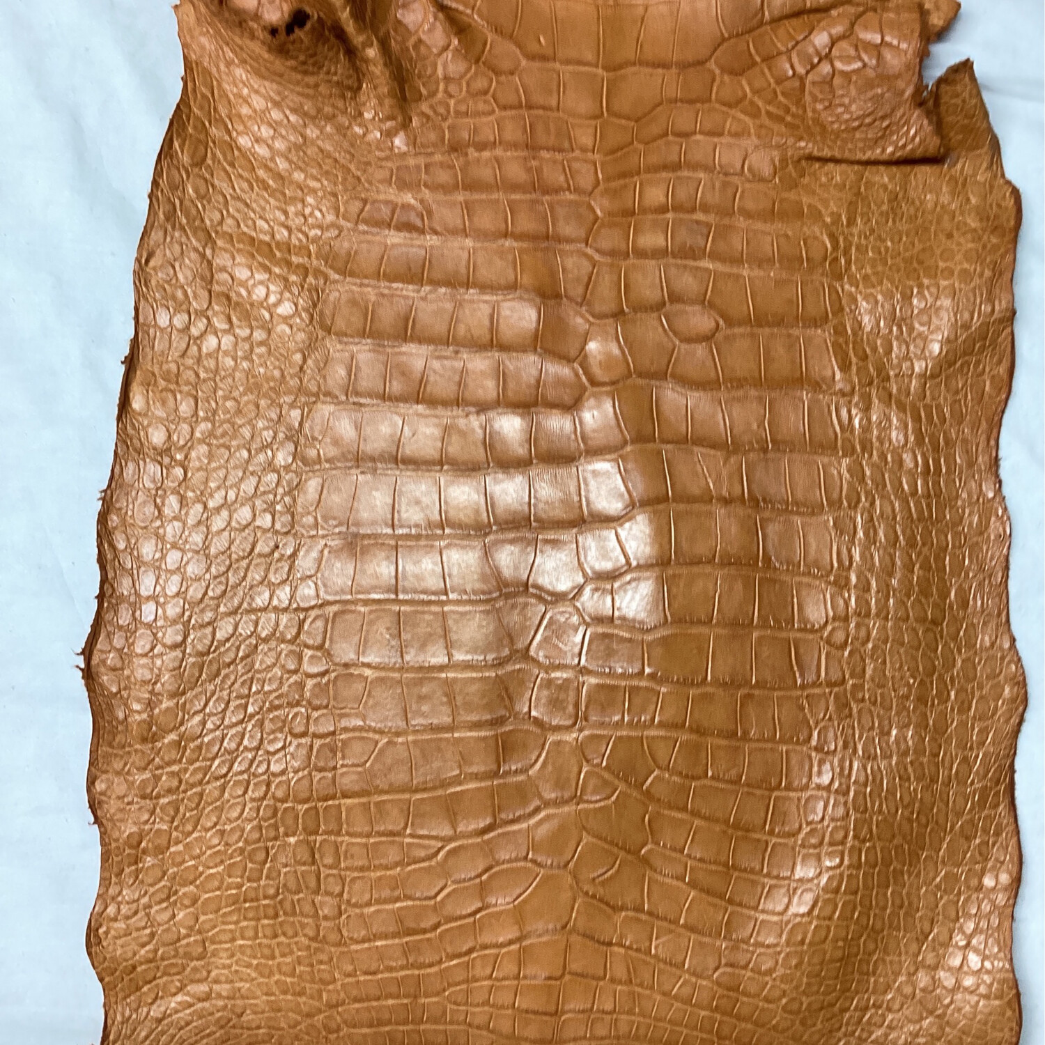 Peanut Belly Skin