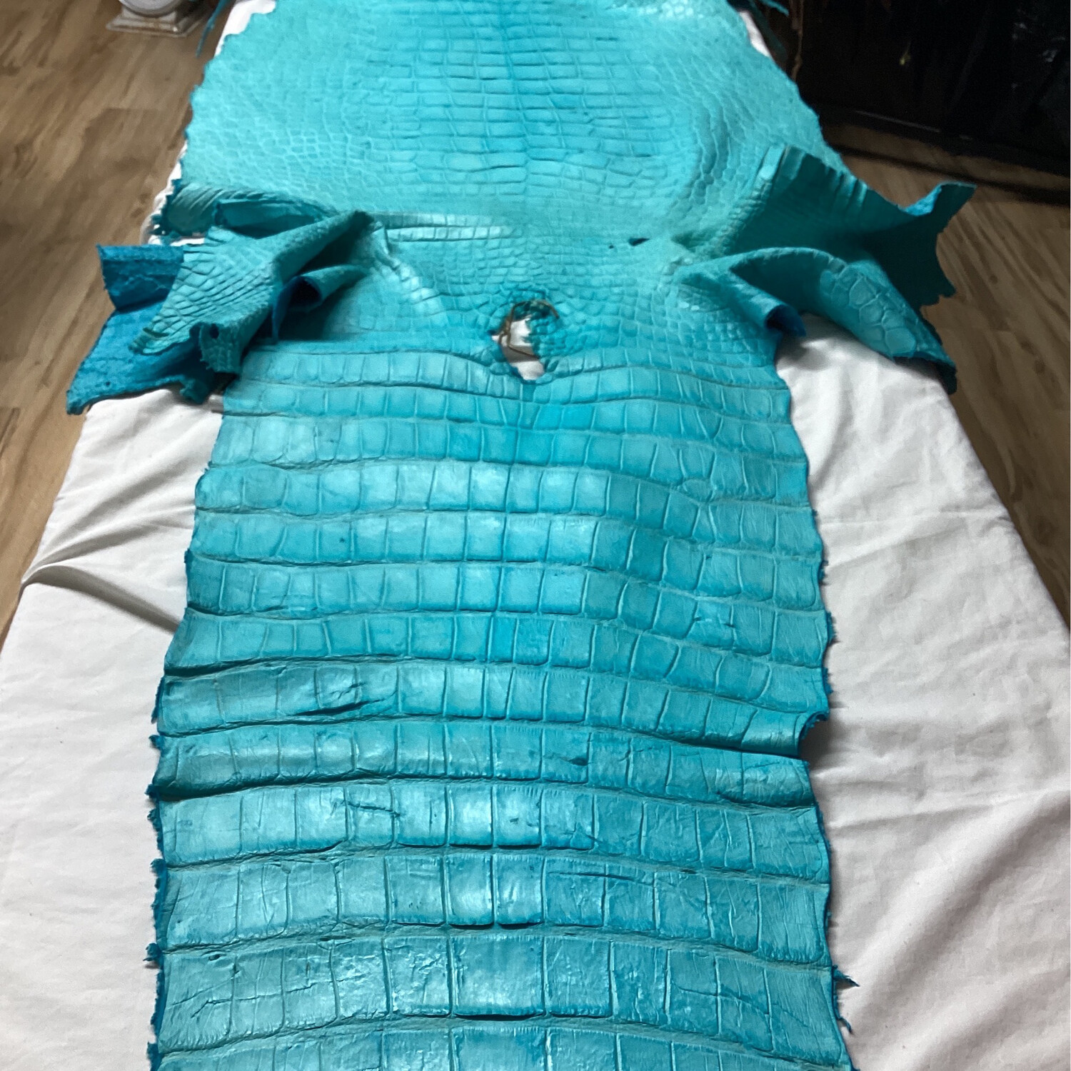 Robins Egg Belly Skin